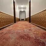 Dinasty 4* Τίρανα