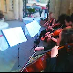Dinasty Τίρανα