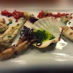 Dinasty 4* Τίρανα