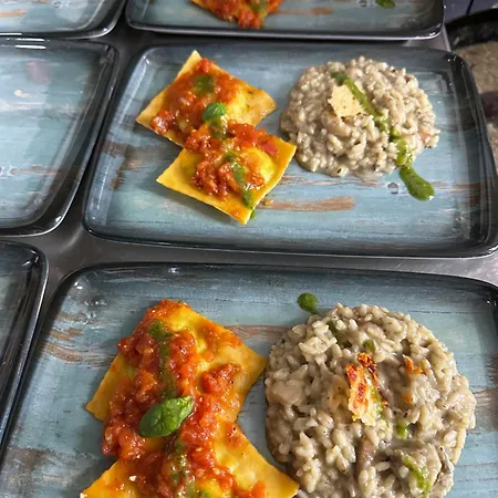 ديناستي تيرانا