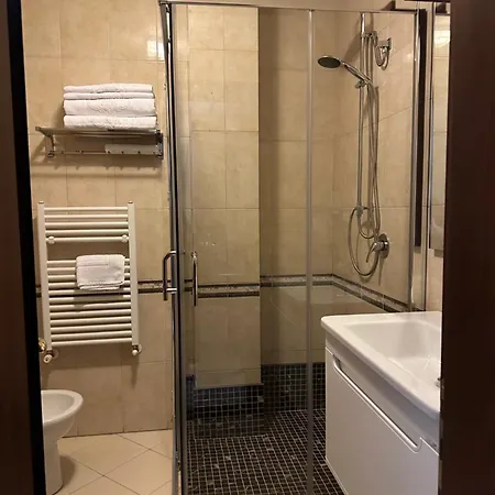 ديناستي فندق 4*