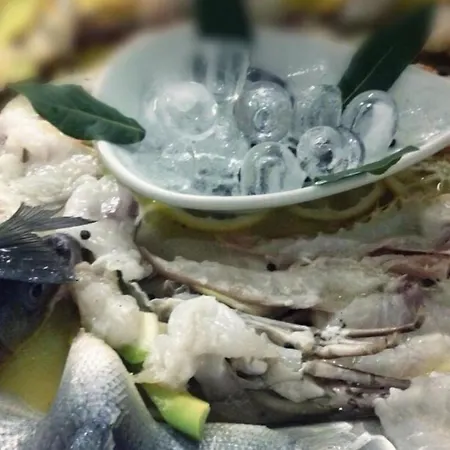 فندق ديناستي تيرانا