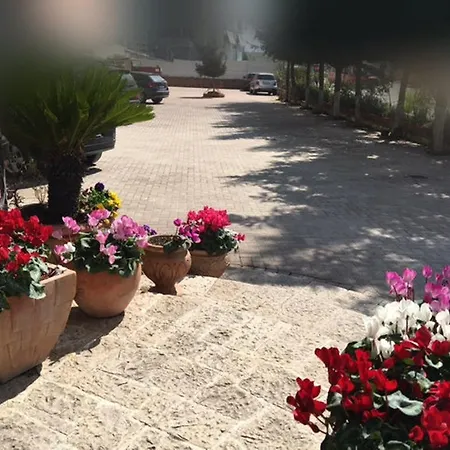 فندق ديناستي