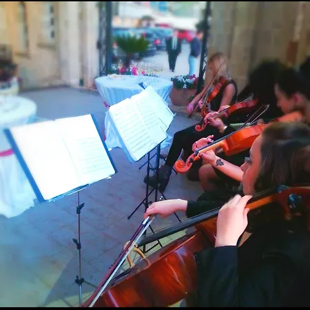 Dinasty טיראנה