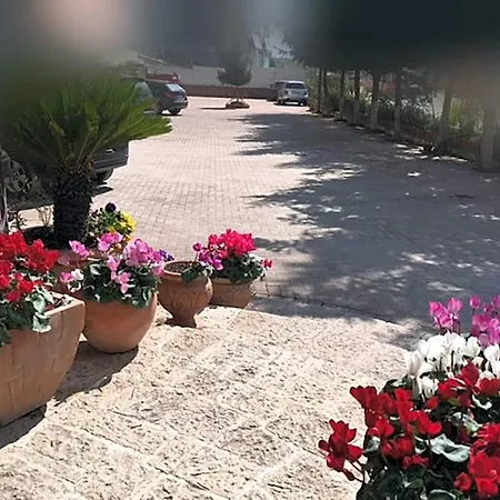 Dinasty Hotel 4*