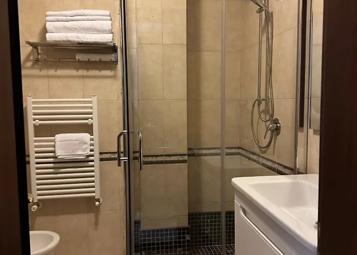 ديناستي فندق 4*