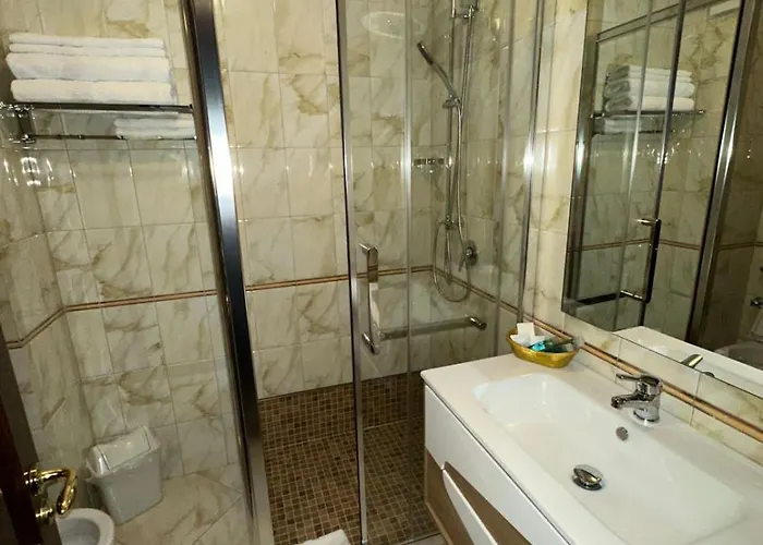 فندق ديناستي 4*