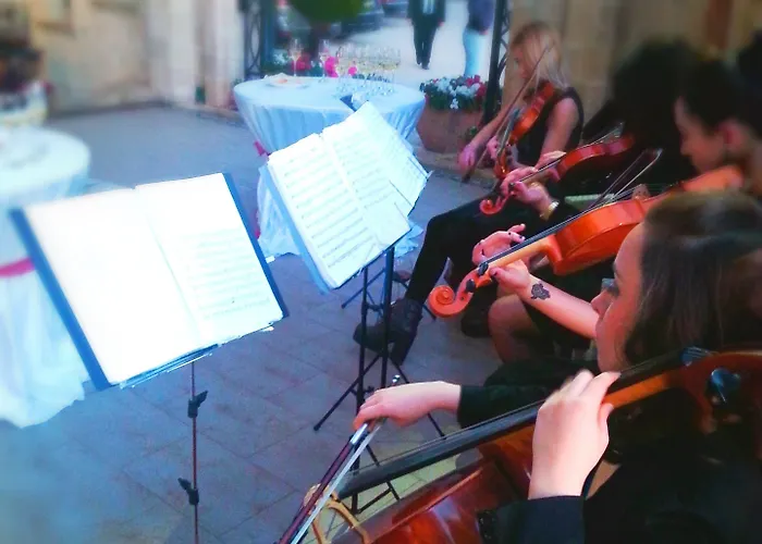 ديناستي تيرانا