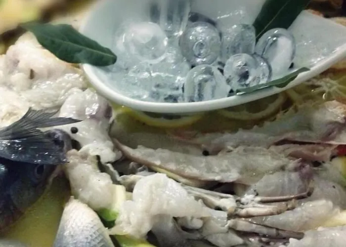 فندق ديناستي تيرانا