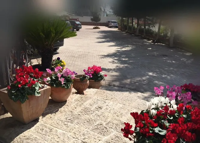 فندق ديناستي